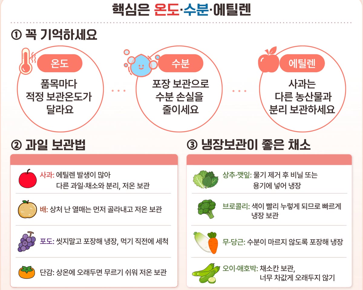냉장고 음식 오래 신선하게 — 여름철 꼭 알아야 할 보관 원칙 6가지 썸네일